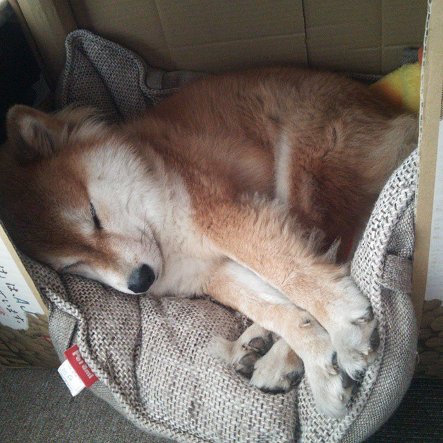 广场舞成为全民健身的重要载体广场舞被列入国家非物质文化遗产名录