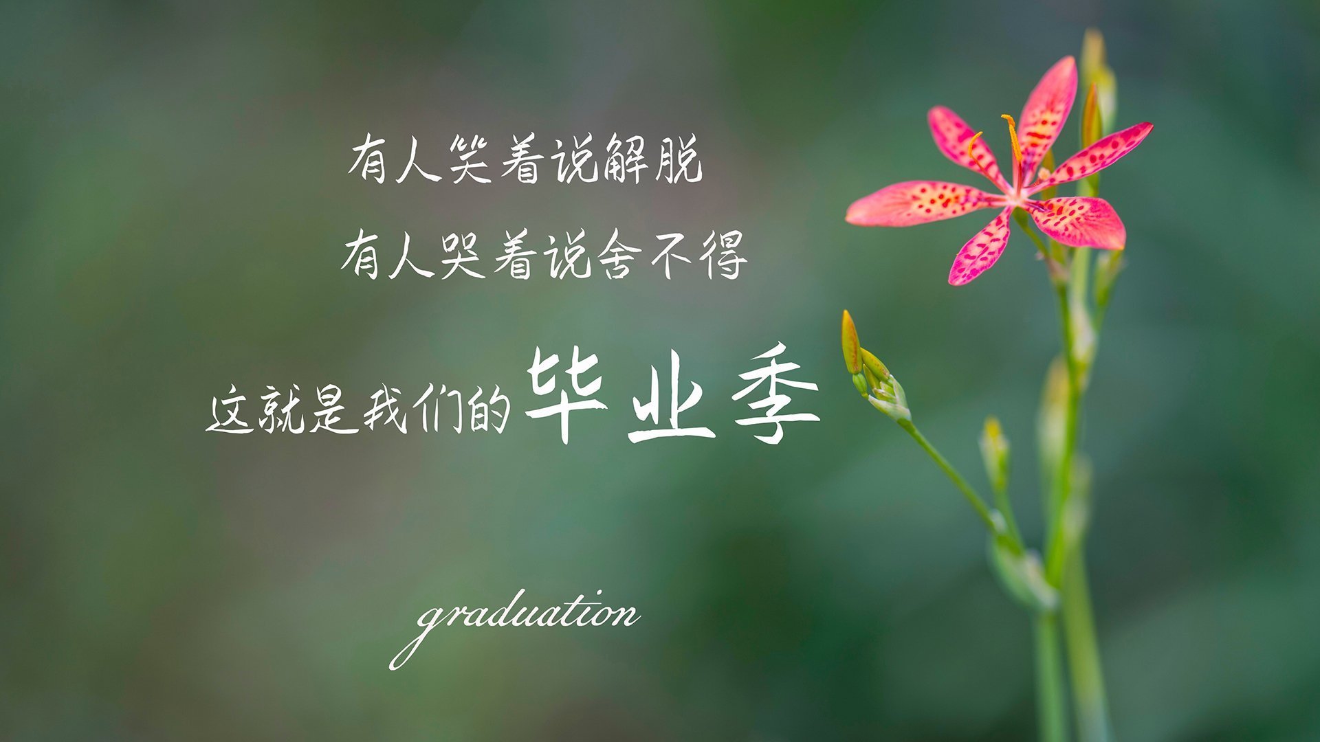 《中国电竞产业政策发布，推动行业高质量发展》，中国电竞产业发展现状