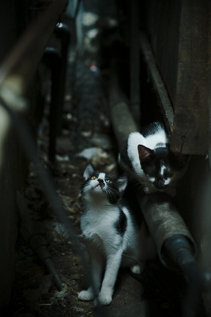 【比赛录像】丁俊晖的经典逆袭瞬间分析，丁俊晖精彩