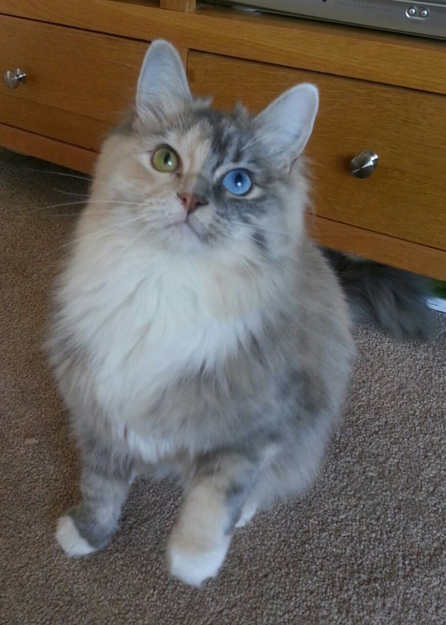 【线上直播体验】多角度全景观看精彩瞬间，直播_全景