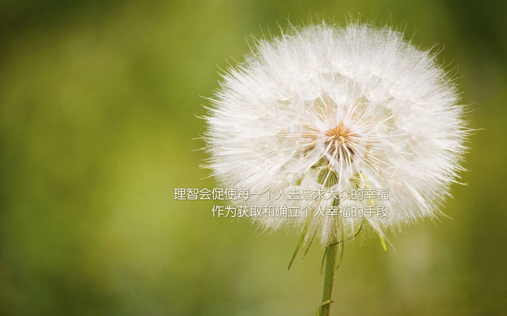 【运动员心态调节】如何化解比赛中的紧张和犯规带来的压力？，运动员比赛前如何调整心态