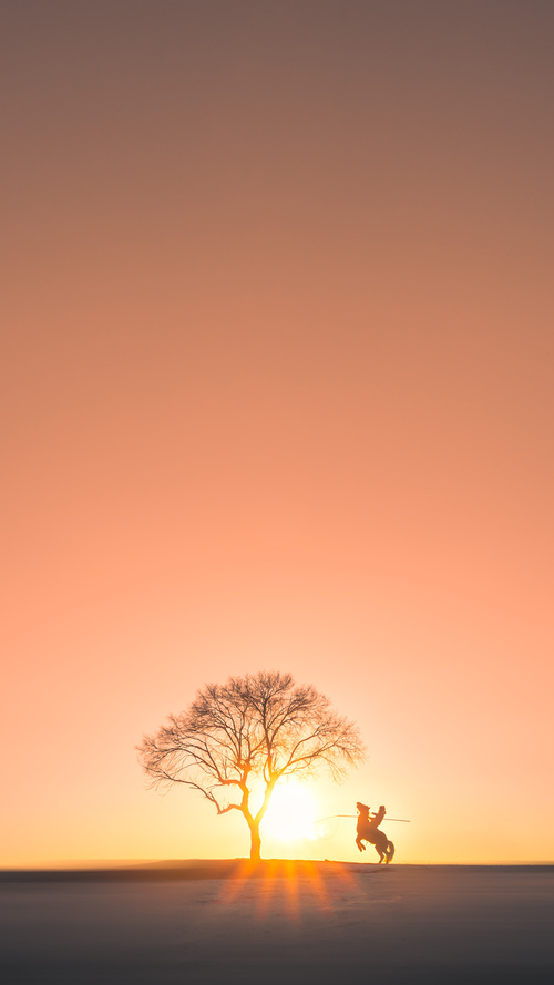 巨星争霸：哪个球员的表现最令人惊叹？，巨星争霸_哪个球员的表现最令人惊叹呢